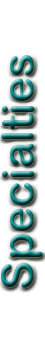 SpecialVert.jpg (9655 bytes)
